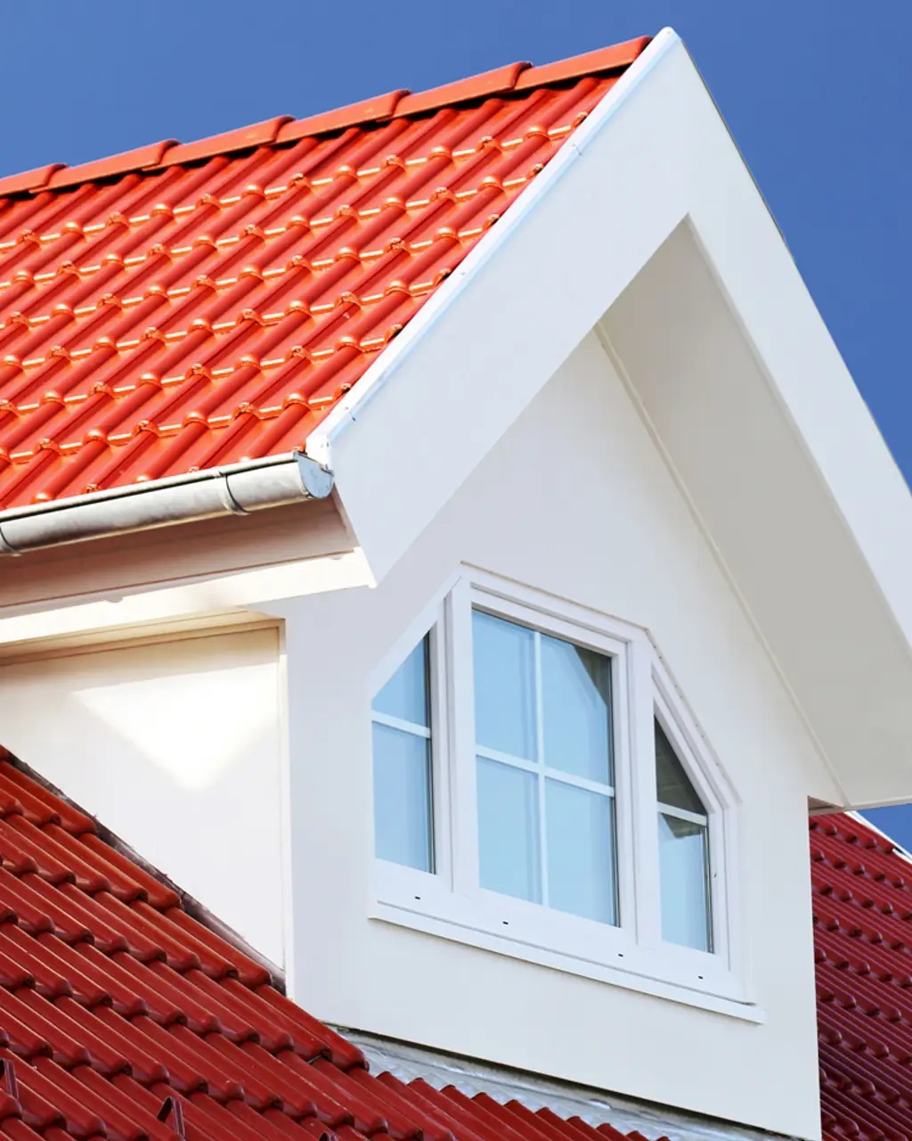 Cat Genteng Jotaroof